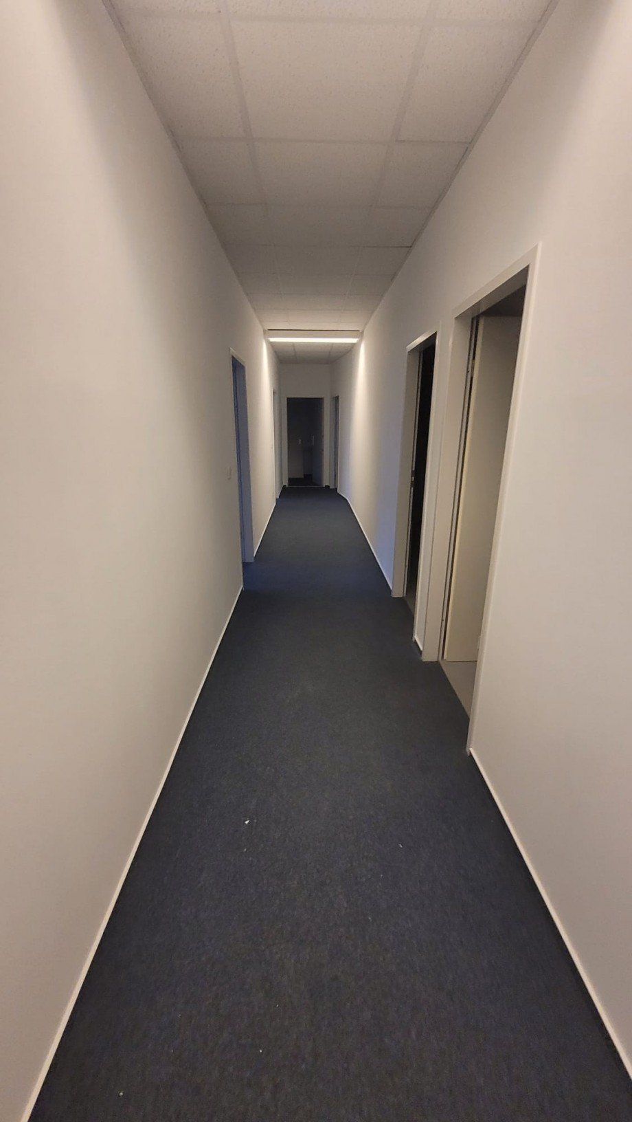 Flur B�rofl�che Hamburg